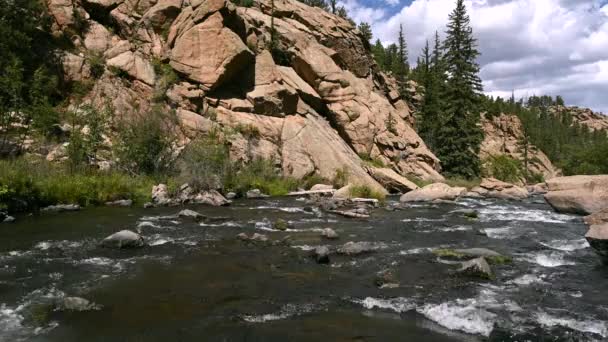 Rushing South Platte River στο Κολοράντο Έντεκα μίλια Canyon - Πλάνα, βίντεο