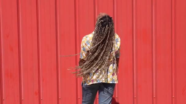 Rear view of African girl combed with colored braids moving her hair. Typical African hairstyle. Slow motion video. - Záběry, video