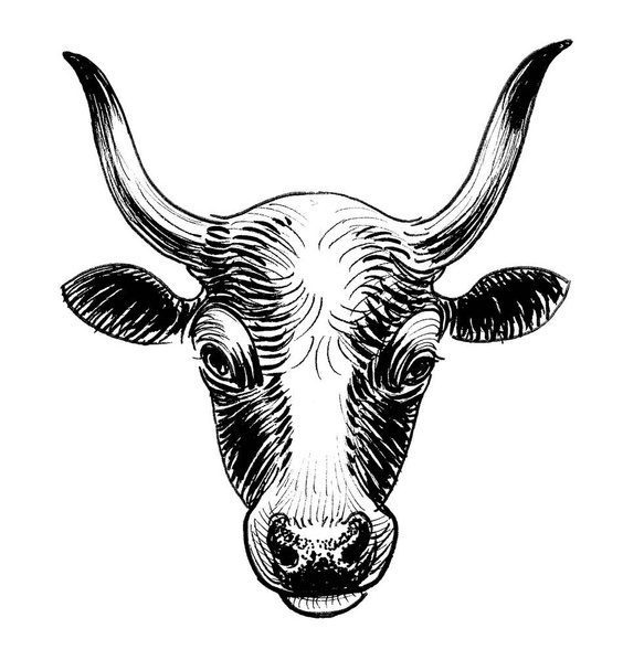 Cow's head. Ink black and white drawing - Foto, Bild