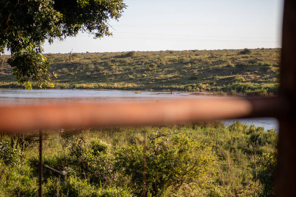 Сцени африканського пейзажу савани з розслабленого готелю в Південній Африці, де ви насолоджуватиметесь африканською дикою природою, тваринами на волі і сафарі.. - Фото, зображення