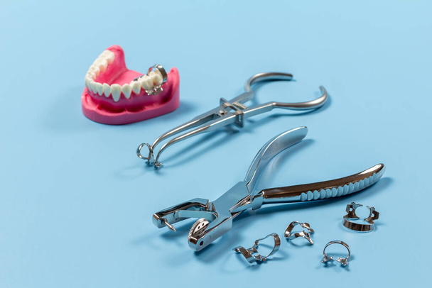 Layout of a human jaw with, the rubber dam forcep, the clamps and the dental hole punch on the blue background. Medical tools concept. - Photo, Image