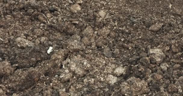 Abstract - piles of manure in a farm silo in close up shots - Video, Çekim