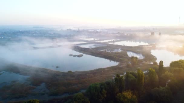Aerial drone view flight over lakes and fog above them on early summer morning. Many artificially created dug lakes for growing fish farming at dawn. Fish industry. Beautiful aerial summer landscape - Footage, Video