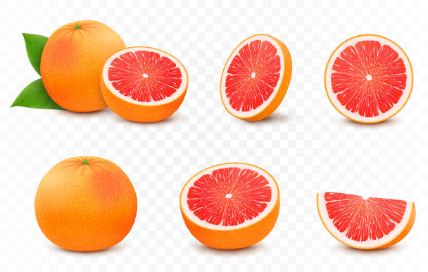 Set of fresh juicy grapefruit with leaves. Half, slice, and whole of citrus fruit, isolated on transparent background. Summer fruits for healthy lifestyle. Realistic 3d vector illustration - ベクター画像