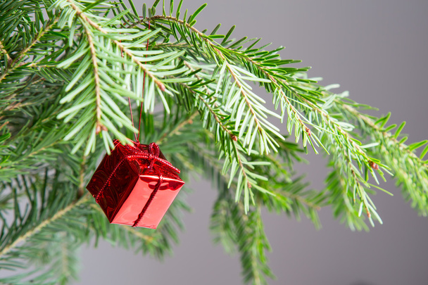 Vánoční strom dekorace červené pole - Fotografie, Obrázek