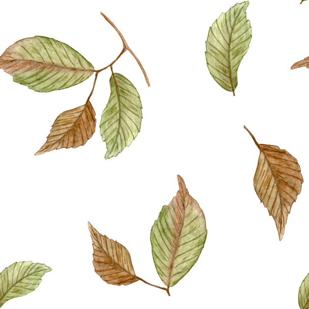 Autumn watercolor pattern with falling leaves. Design for cover, textile, stationery - Foto, immagini