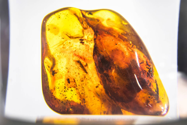 Natural amber with mosquito on blurry background. Natural mineral with various inclusions, insects, bubbles. Insects in the resin. Flies inside a petrified mineral. Archeology. Ancient fossil digging. Natural crystal. - Foto, Imagem