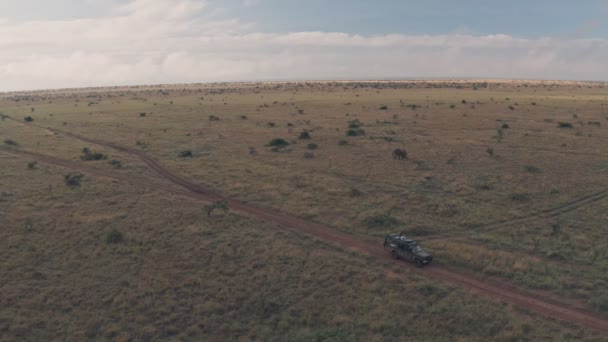 Elephant sighting while on wildlife safari holiday in Laikipia, Kenya. Aerial drone view - Felvétel, videó