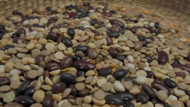Dried legumes and cereals. Group of beans and lentils - Záběry, video