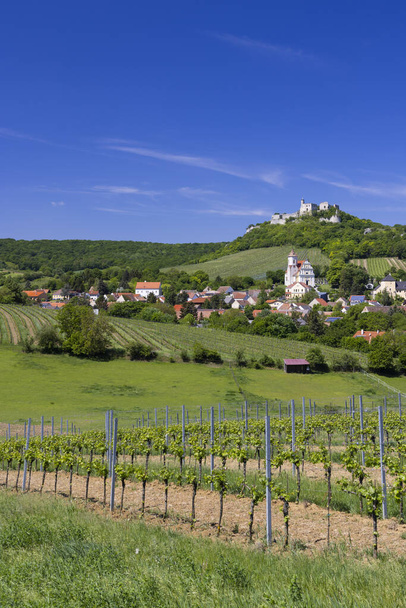 Falkenstein ruins and town with vineyard, Lower Austria, Austria - Photo, Image