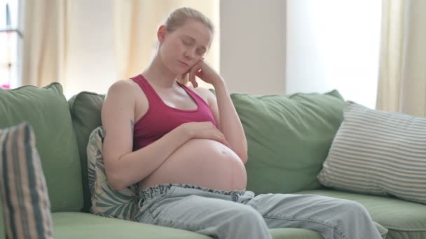 Pregnant Young Woman Sleeping while Sitting on Sofa - Video, Çekim