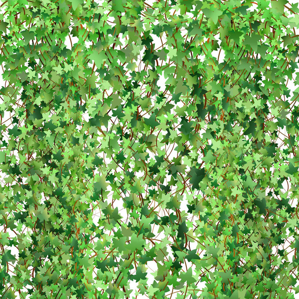 Decoration for garden or home.Green vine, creeper or ivy hanging from above or climbing the wall.Template on white background. - Vector, Image