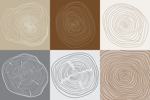 Annual rings of the cut trees - Vector, Image