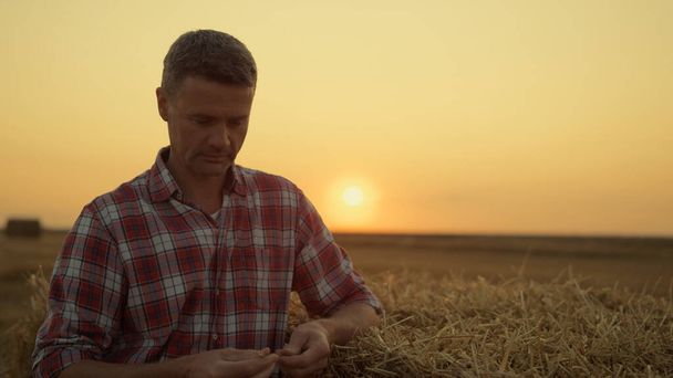 Фермер дотрагивается до соломы на золотом поле восхода солнца. Работник-агроном берет сухую пшеницу с тюка и проверяет собранные сельскохозяйственные угодья. Портрет бизнесмена в сельской местности. Концепция агробизнеса - Фото, изображение