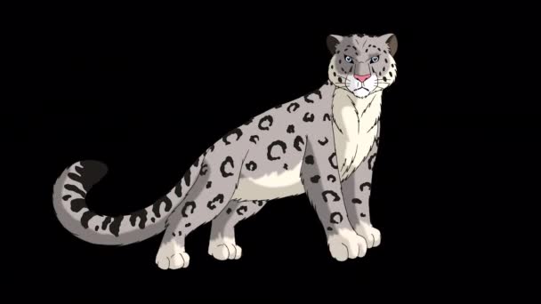 Snow Leopard. Handmade animated looped 4K footage isolated with alpha channel.  - Metraje, vídeo