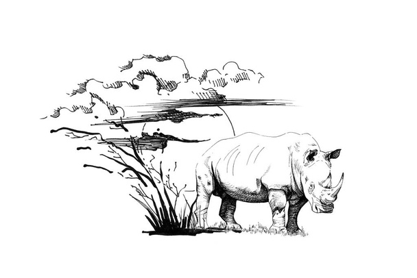 Rhino on sunset with grass and clouds. Collection of hand drawn illustrations (originals, no tracing) - Fotoğraf, Görsel