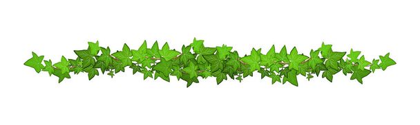 Decoration for garden or home.Green vine, creeper or ivy hanging from above or climbing the wall.Template on white background. - Vecteur, image