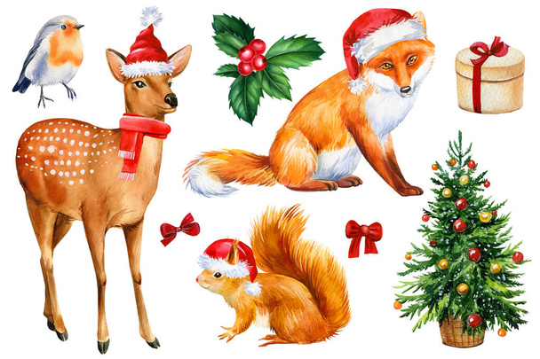 Set of animals in red caps, squirrel, fox, deer and robin bird hand drawn watercolor. High quality illustration - Foto, Bild