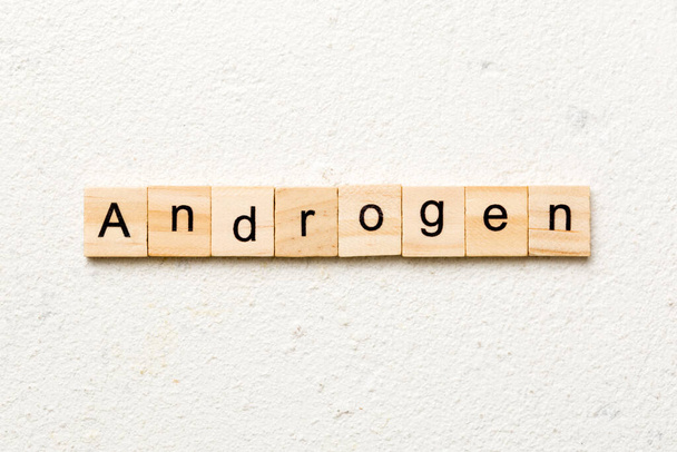 androgen word written on wood block. androgen text on table, concept. - Foto, Imagem