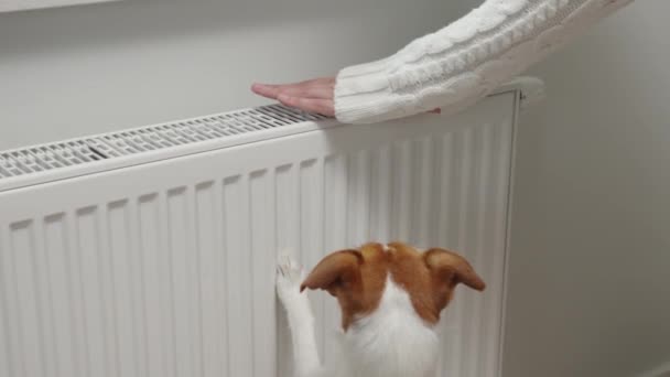 Woman adjusting temperature on heating radiator, Energy crisis concept in Europe, Rising costs in private households for gas bill due to inflation and war - Materiaali, video