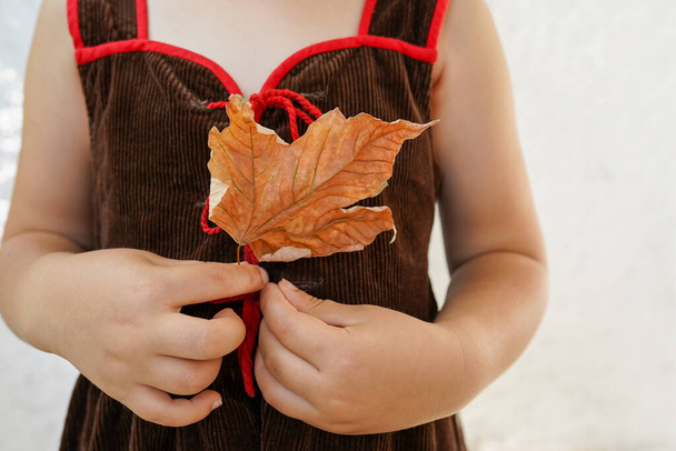 Close-up of a child a girl in a brown dress holding yellow leaf in a warm autumn day. Children outdoors - Fotografie, Obrázek