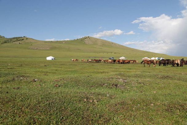 in the land of mongolia the nature and environment - Valokuva, kuva