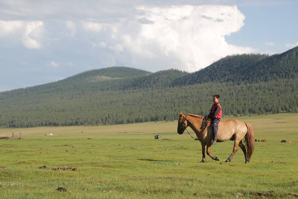 in the land of mongolia the nature and environment - Photo, Image