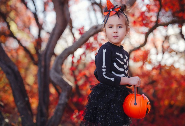 Young girl in black costume goes trick or treating. Little witch, Kids with jack-o-lantern. Children with candy bucket in fall forest. Happy Halloween. - Foto, immagini