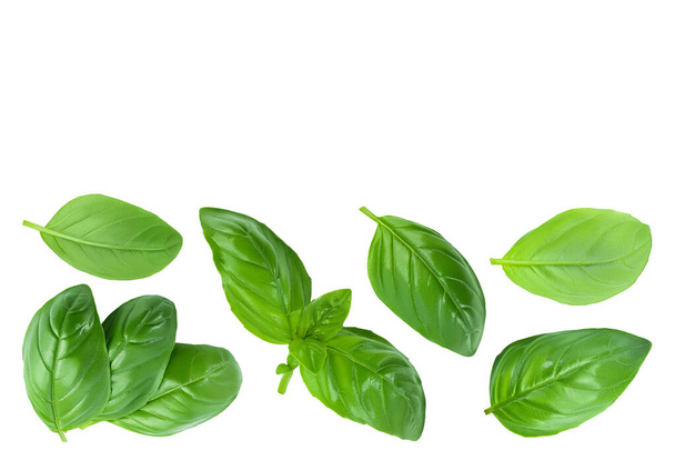 Fresh basil leaf isolated on white background with full depth of field. Top view with copy space for your text. Flat lay. - Foto, afbeelding