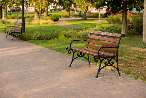 Wooden bench in the city park.Summer season. High quality photo - Фото, изображение