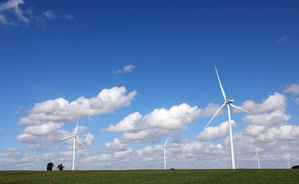 wind turbines for the production of renewable electricity by exploiting the power of the wind without polluting - Photo, image