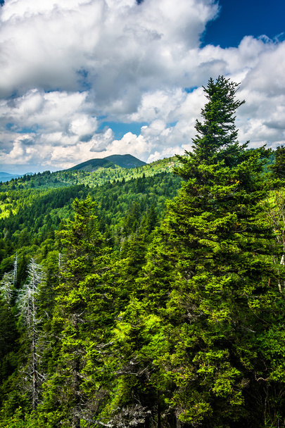 View from Devils Courthouse, near the Blue Ridge Parkway in Nort - Photo, image