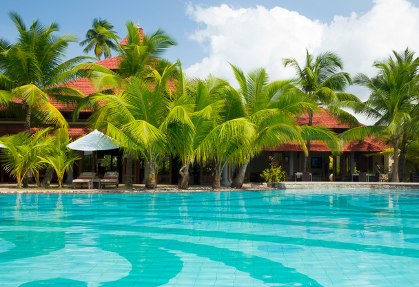zwembad met palmbomen - Foto, afbeelding