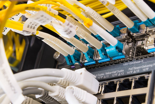 Detalle del servidor con cables de conexión conectados a puertos Ethernet - Foto, Imagen