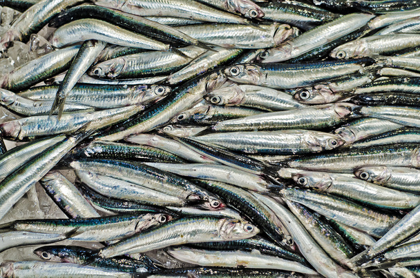 sardines dans un bureau d'un marché aux poissons à Tokyo
 - Photo, image