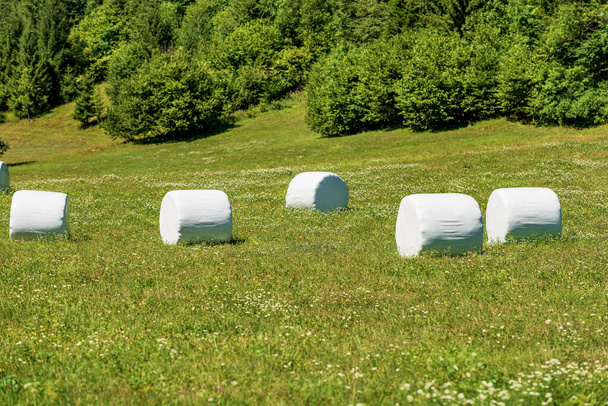 Group of hay bales packed with white plastic on a green sunny meadow, Julian Alps, Triglav National Park, Gorenjska (Upper Carniola), Slovenia, central Europe. - Foto, imagen