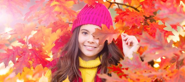 happy teen girl in hat with autumn colorful oak tree leaves, fall. Autumn fall child for poster design. Banner header, copy space - Valokuva, kuva