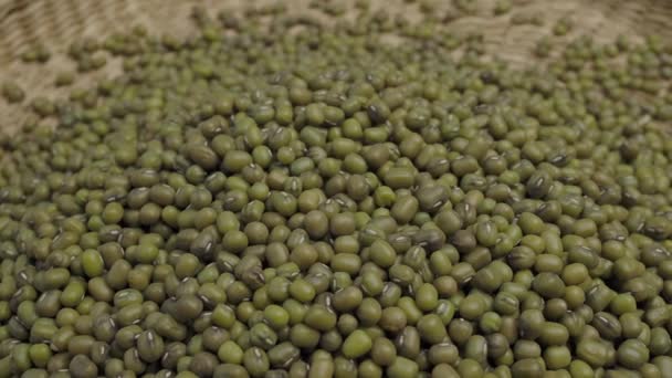 Pile of raw green mung beans or Vigna radiata seeds - Záběry, video