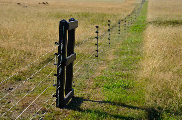 fencing with barrier-free access for seniors and the immobile. safari zoo with a large paddock for large dangerous mammals of Przewalski's horse. electric fence, tension spring, sheeps, meadow, alley - Foto, Imagem