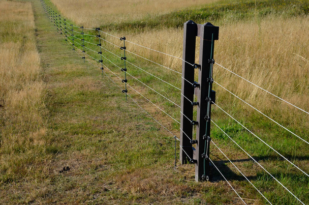 fencing with barrier-free access for seniors and the immobile. safari zoo with a large paddock for large dangerous mammals of Przewalski's horse. electric fence, tension spring, sheeps, meadow, alley - Foto, Imagem