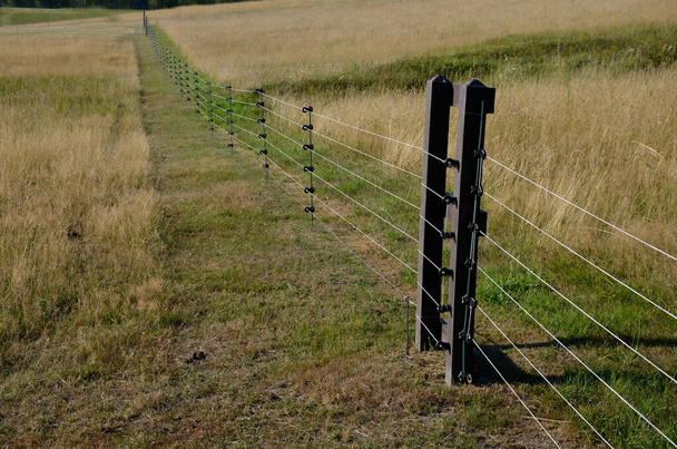 fencing with barrier-free access for seniors and the immobile. safari zoo with a large paddock for large dangerous mammals of Przewalski's horse. electric fence, tension spring, sheeps, meadow, alley - Fotoğraf, Görsel