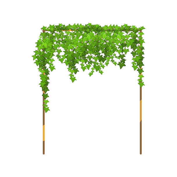 Decorative column for garden or home.Green vine, creeper or ivy hanging from above or climbing the wall.Template on white background. - Vecteur, image
