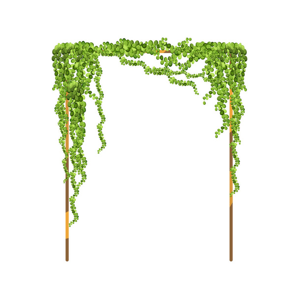 Decorative column for garden or home.Green vine, creeper or ivy hanging from above or climbing the wall.Template on white background. - Vektör, Görsel
