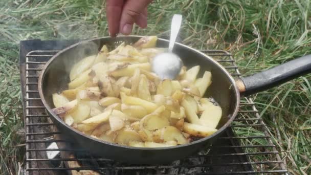 hand salting potatoes, fried in a frying pan on a grill, in a meadow. - Felvétel, videó