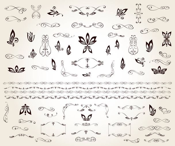Set of floral decorative elements for design isolated, editable. From the largest and best collection of decorative elements . - Wektor, obraz