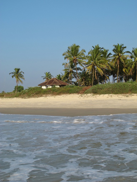 Coco palms e cabana na praia em Benaulim, Goa
 - Foto, Imagem