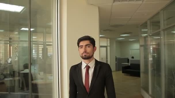 Attractive and confident businessman is walking around a modern open plan office building. - Video
