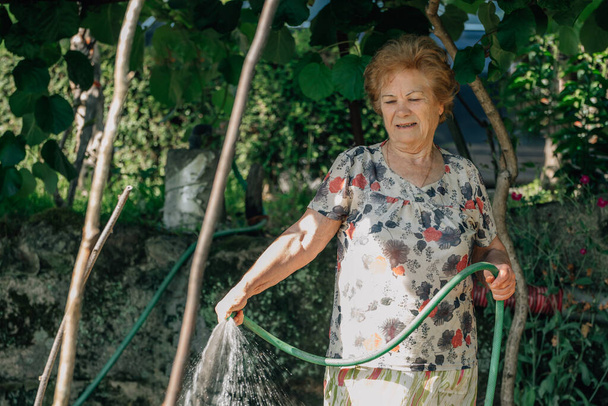 senior woman in summer watering the vegetable garden - Foto, Bild
