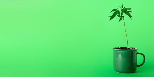 Hemp in mug on green background with space for text - Foto, afbeelding