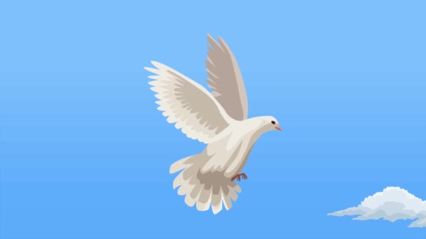 international peace day animation with dove ,4k video animated - Felvétel, videó